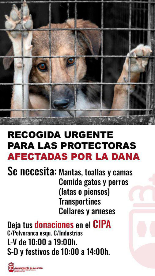 CIPA