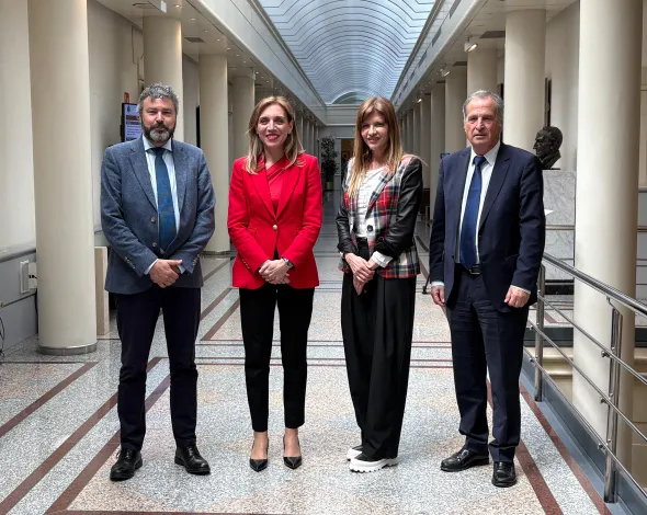 Comparecencia alcaldesa Senado vivienda