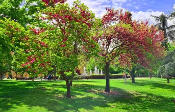 parc des avocats