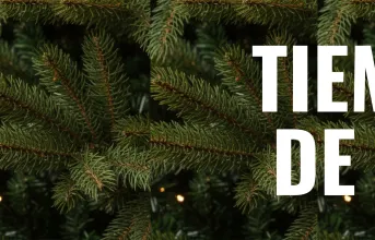 Navidad 2025-2026 TIEMPO DE PAZ