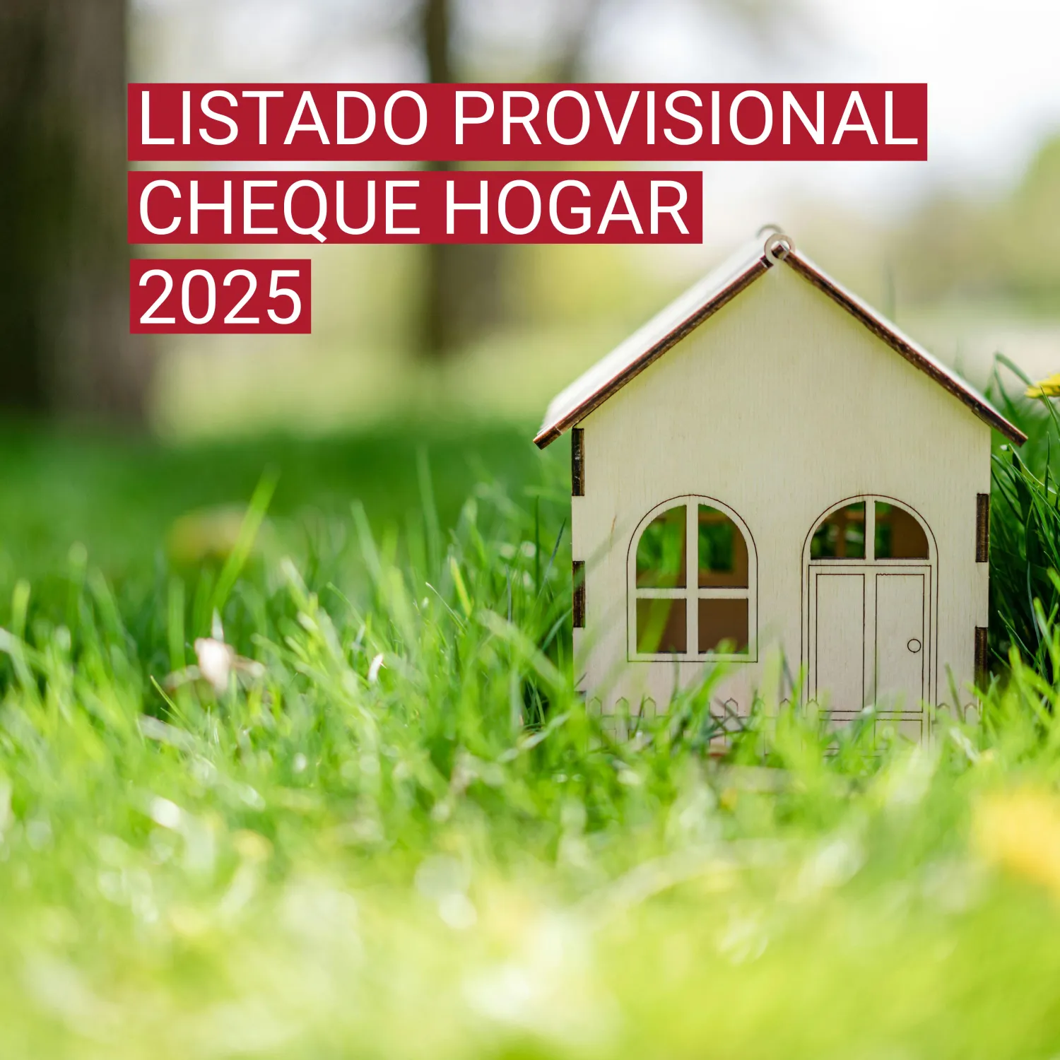 Listado Cheque Hogar