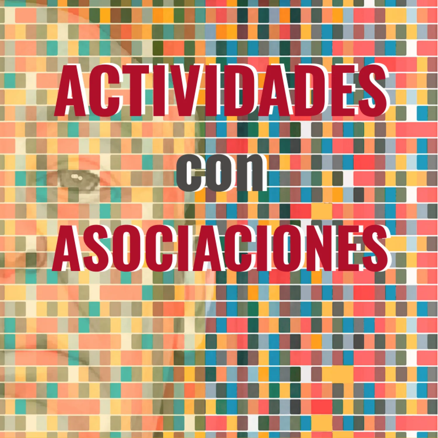 aCTIVIDADES