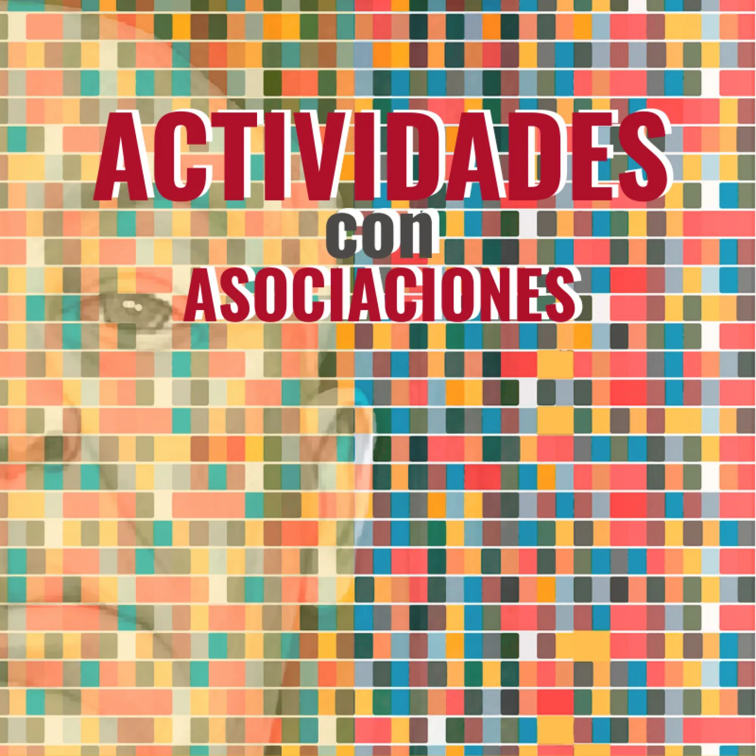 actividades con asociaciones