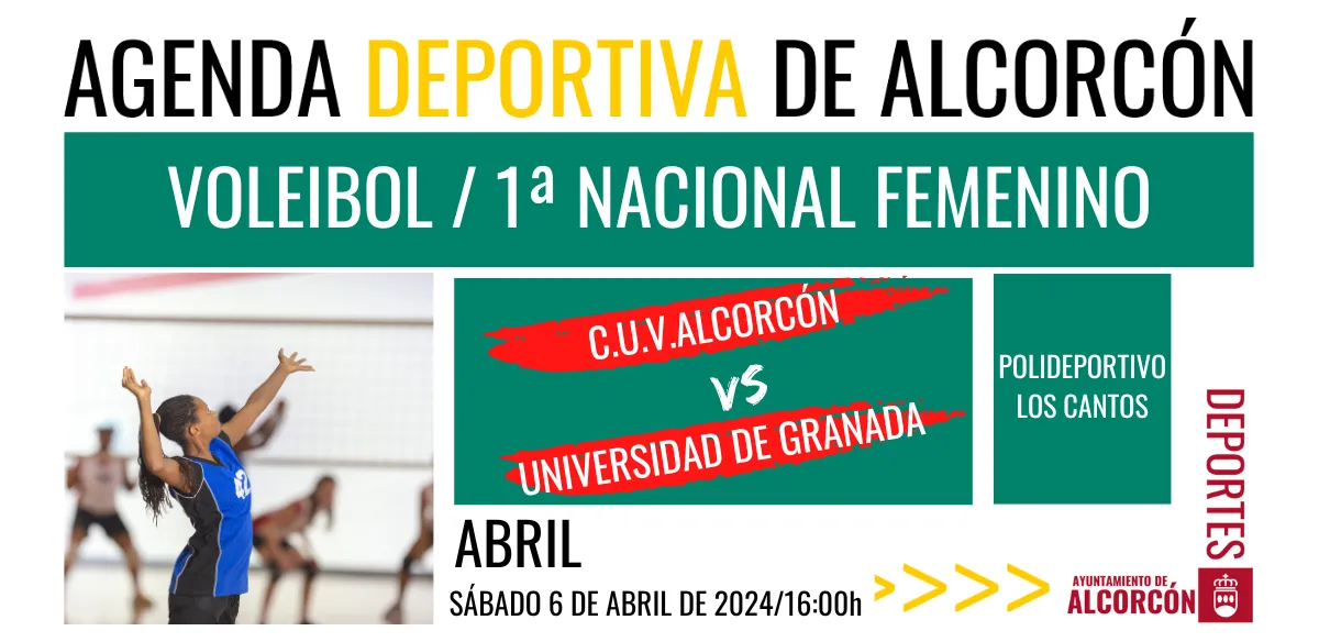 VOLEIBOL