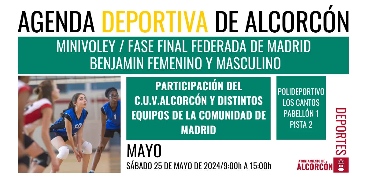 MINIVOLEY