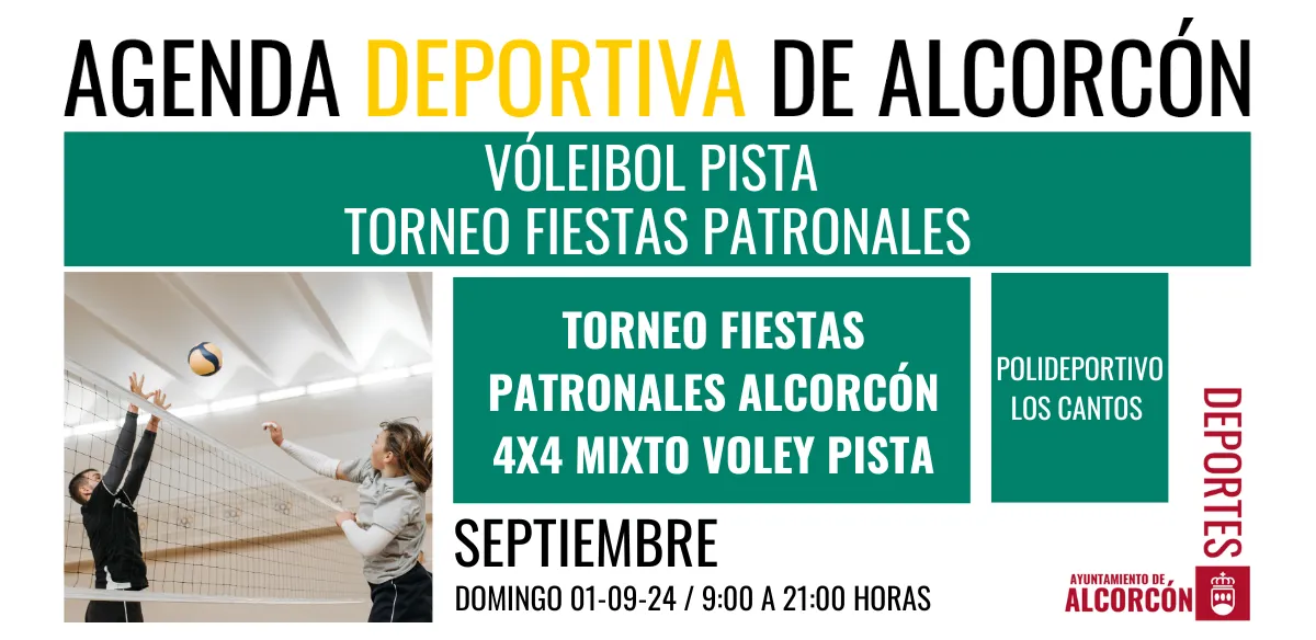 VOLEIBOL PISTA