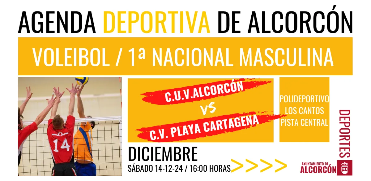 VOLEIBOL