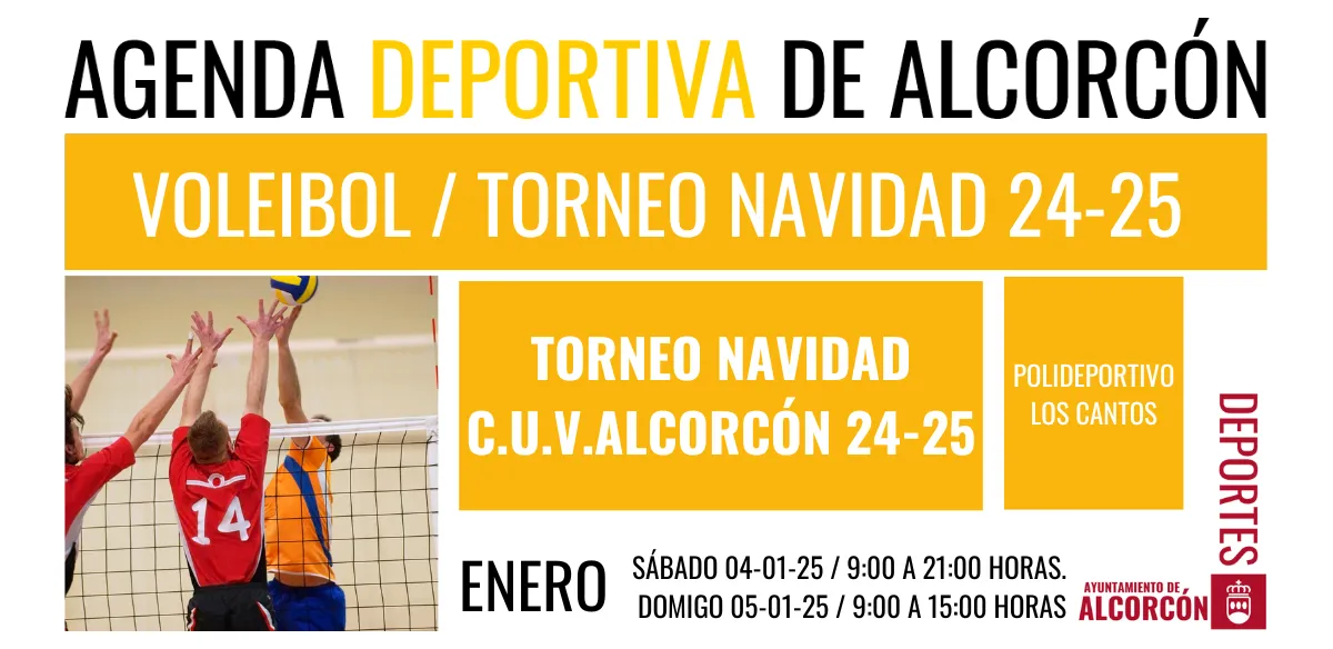 VOLEIBOL