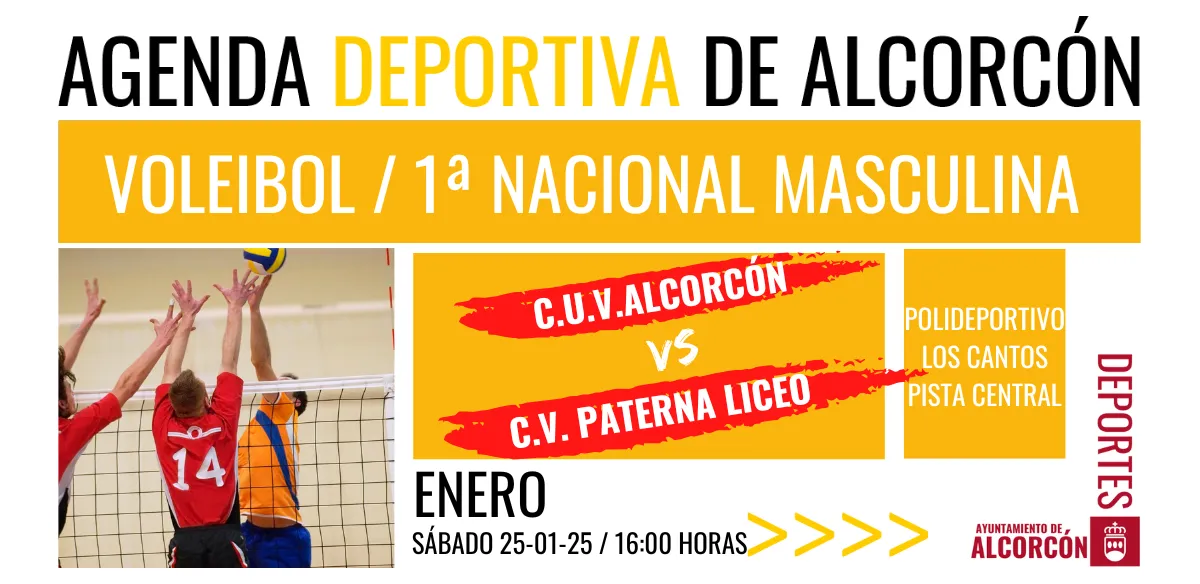 VOLEIBOL