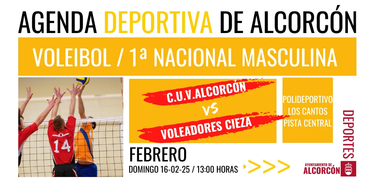 VOLEIBOL