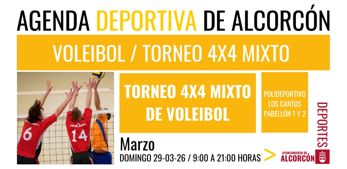 VOLEIBOL / TORNEO 4X4 MIXTO 
