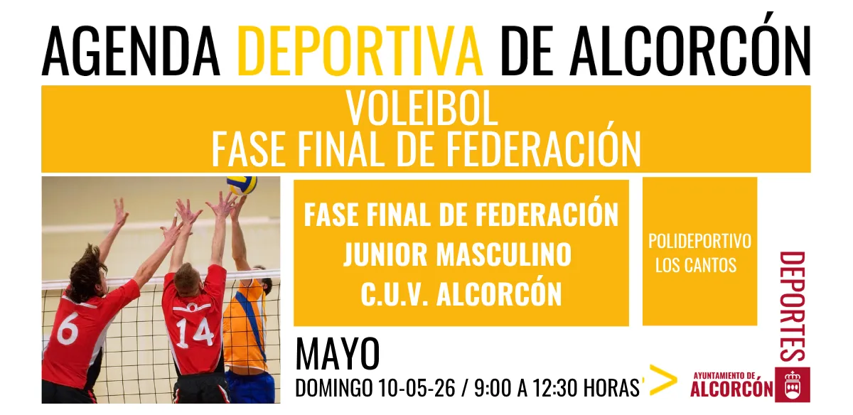 VOLEIBOL / FASE FINAL DE FEDERACIÓN 
