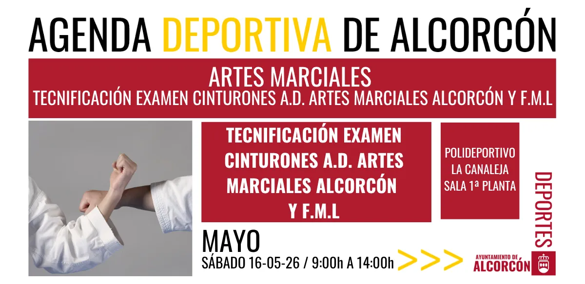 ARTES MARCIALES / TECNIFICACIÓN EXAMEN CINTURONES 