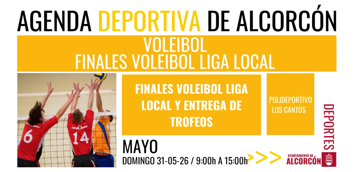 VOLEIBOL
