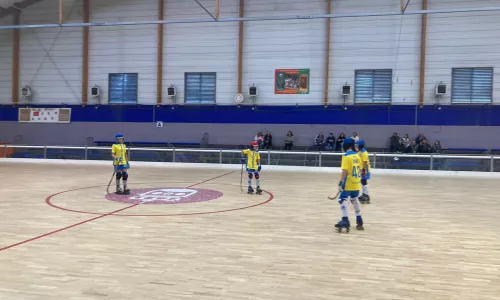 JUGADORES HOCKEY