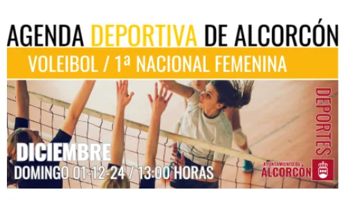 VOLEIBOL