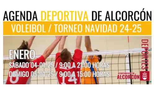 VOLEIBOL