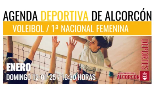VOLEIBOL