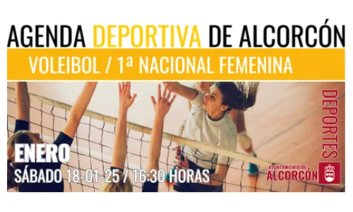 VOLEIBOL