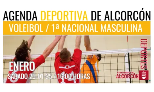 VOLEIBOL 