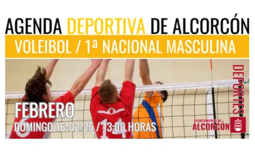 VOLEIBOL