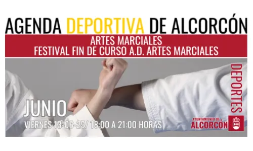 ARTES MARCIALES