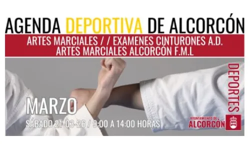 ARTES MARCIALES / EXAMENES CINTURONES A.D. ARTES MARCIALES 