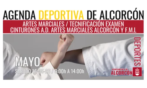 ARTES MARCIALES / TECNIFICACIÓN EXAMEN CINTURONES 