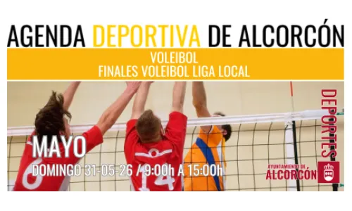 VOLEIBOL