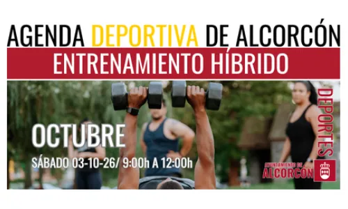 ENTRENAMIENTO HÍBRIDO