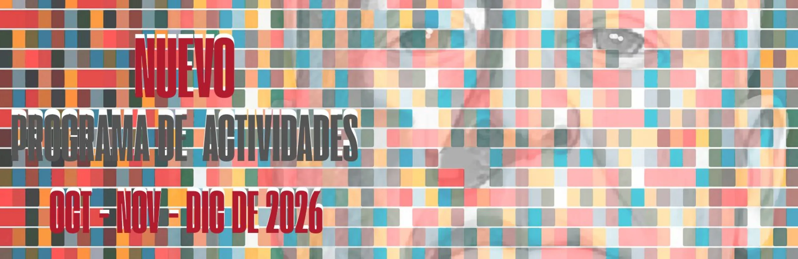 programa 4 trimestre