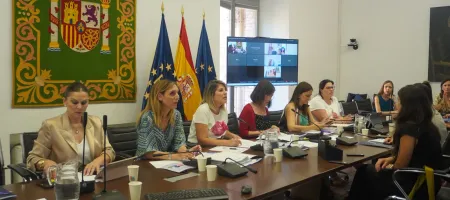 Reunión comisión lucha contra la violencia de género de la FEMP
