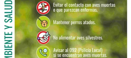 Influencia Aviar