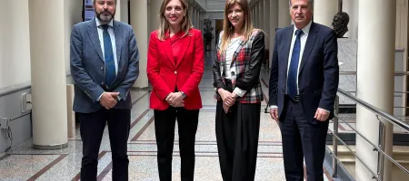 Comparecencia alcaldesa Senado vivienda