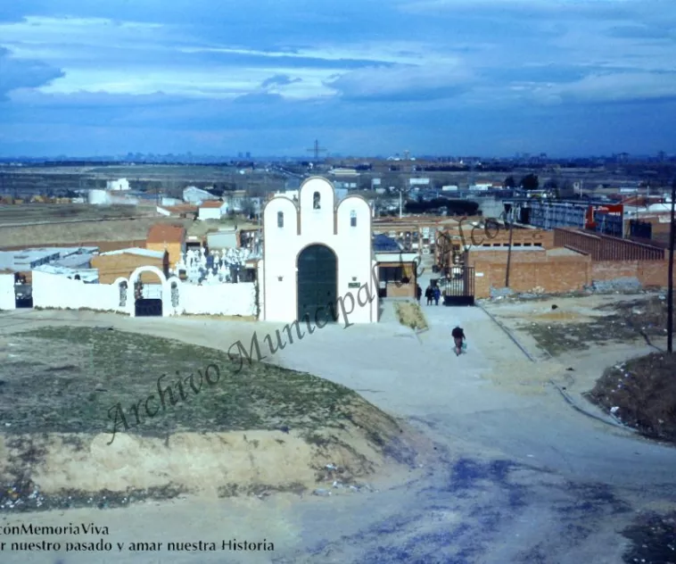 CerneVieux