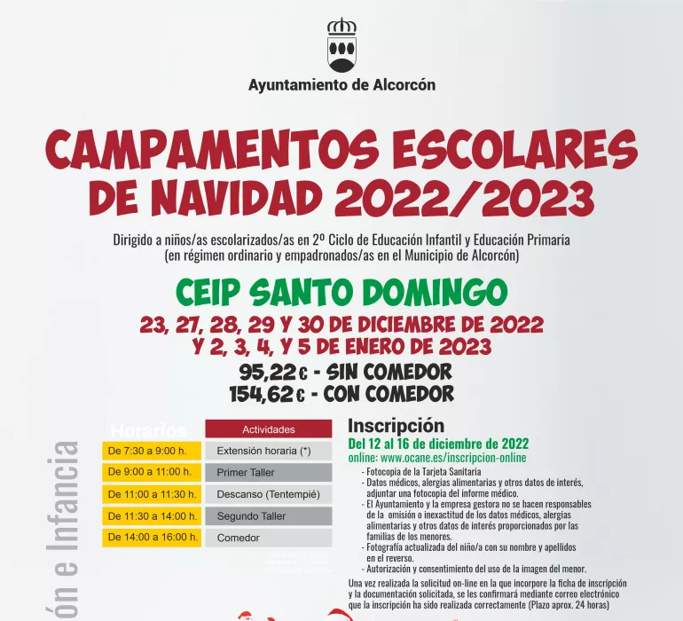 cartel campamento navidad