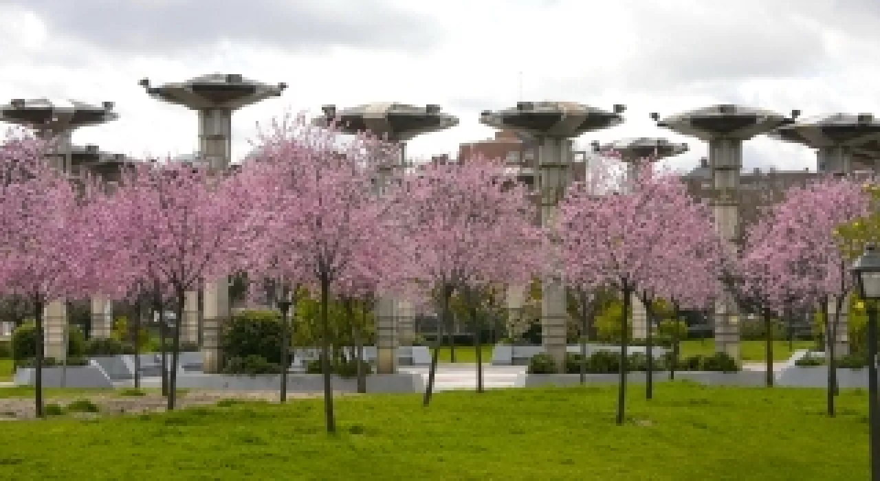 parques y jardines