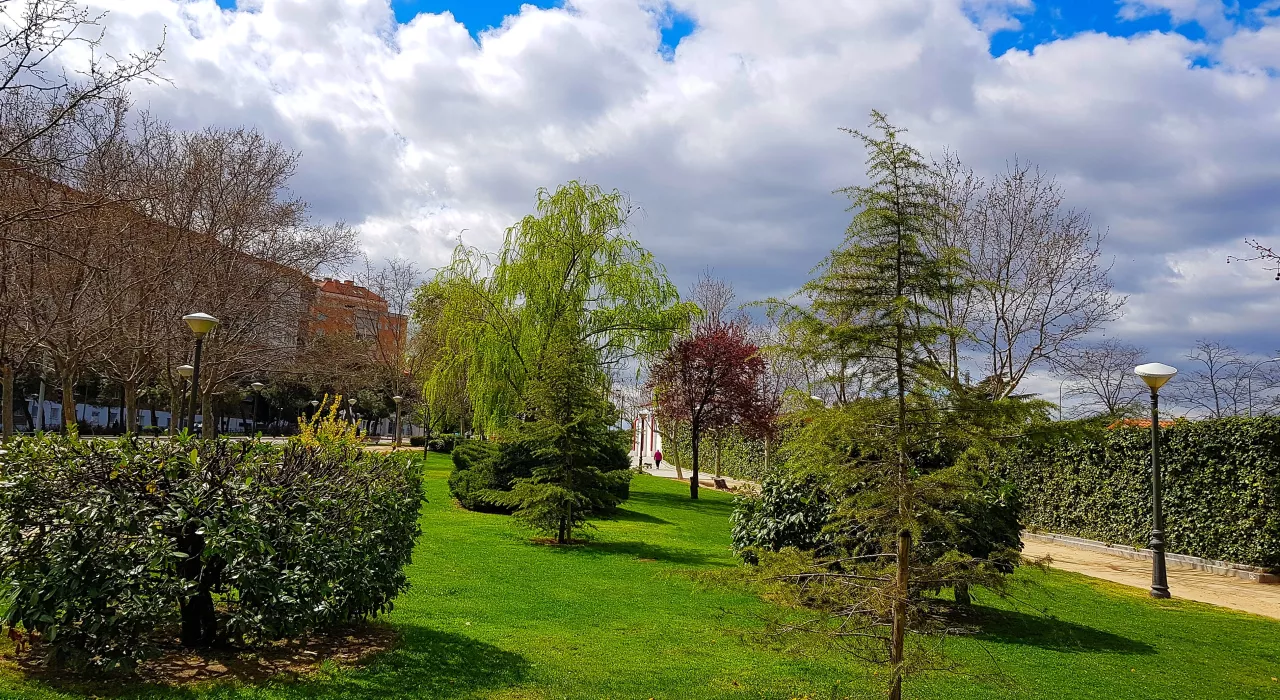 park