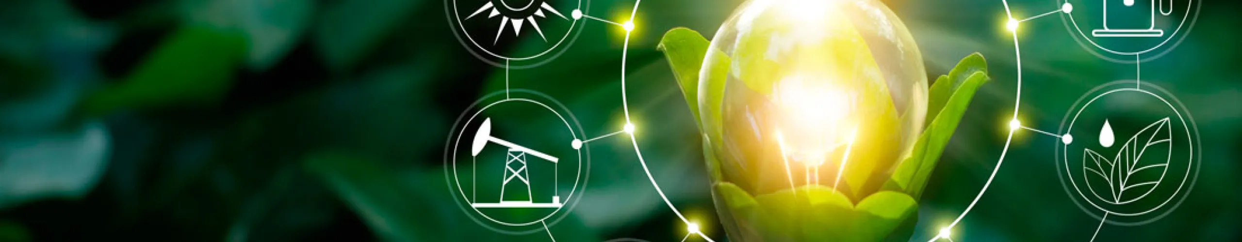 Sustainability