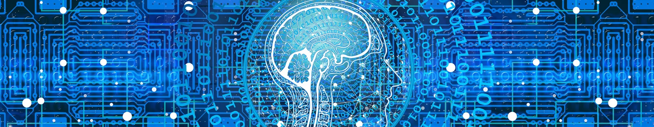 Formulario AI
