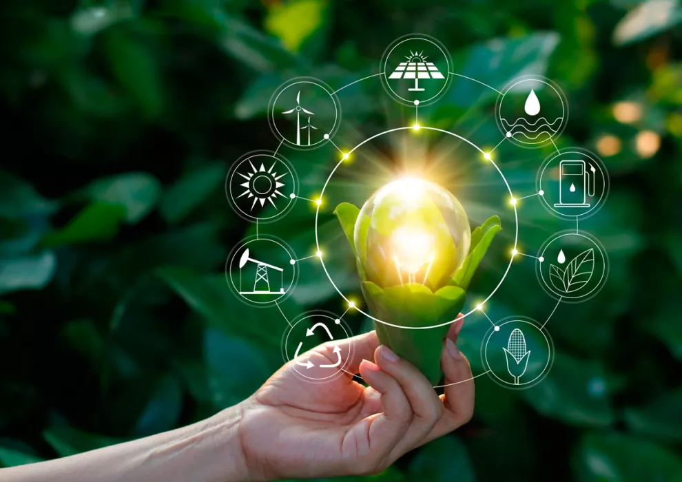 Sustainability